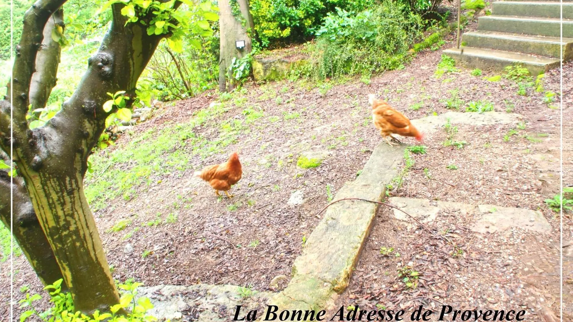 Holiday home La Bonne Adresse - Gite Zenitude Cornillon-Confoux France
